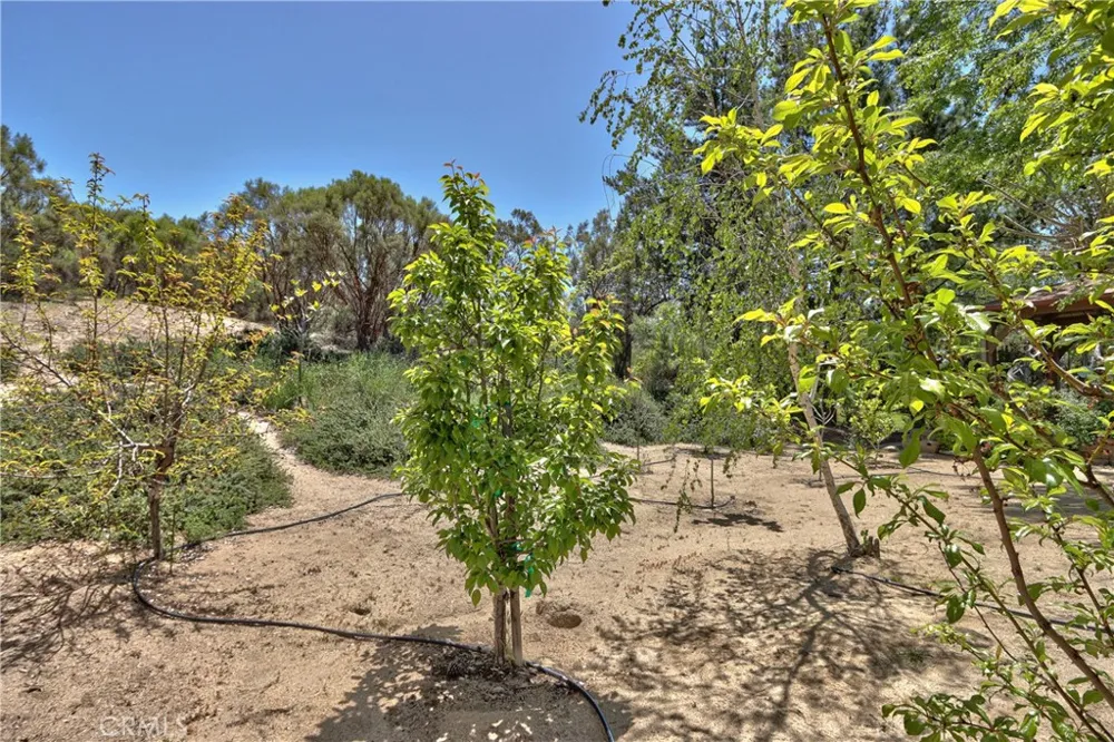 48208 Tanglewood Court Aguanga, CA 92536