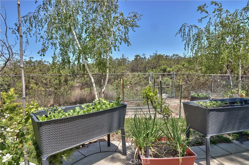 48208 Tanglewood Court Aguanga, CA 92536