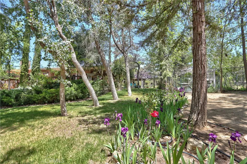 48208 Tanglewood Court Aguanga, CA 92536