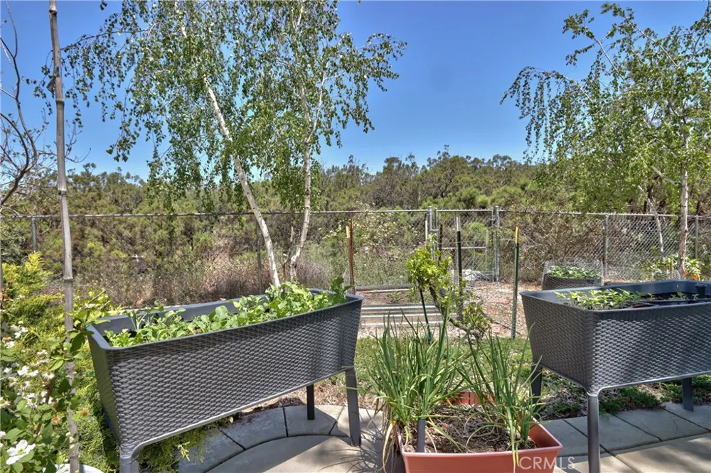 48208 Tanglewood Court Aguanga, CA 92536
