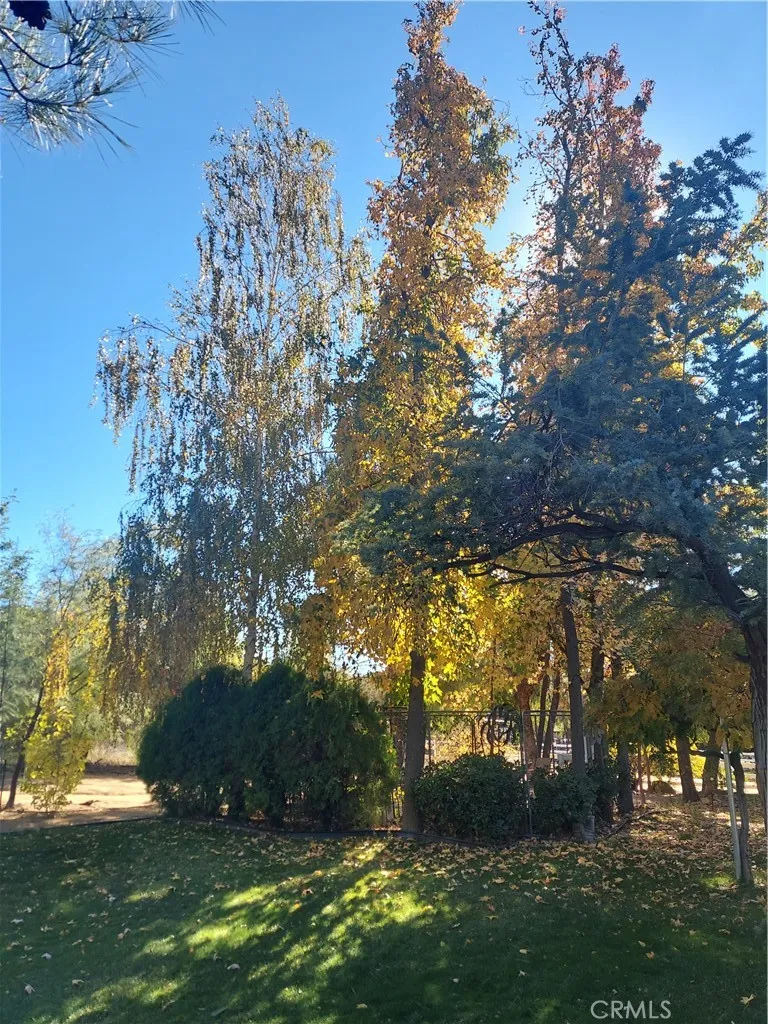 48208 Tanglewood Court Aguanga, CA 92536