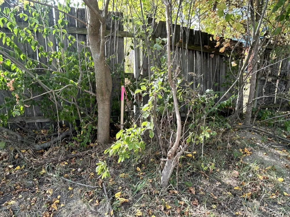 1888 McCartney Avenue Ypsilanti, MI 48198