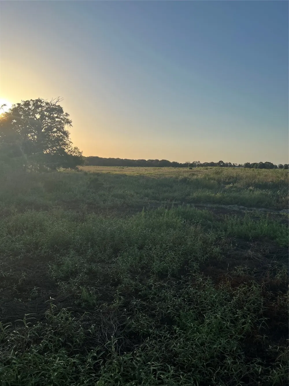 527 County Road 3351 Saltillo, TX 75478