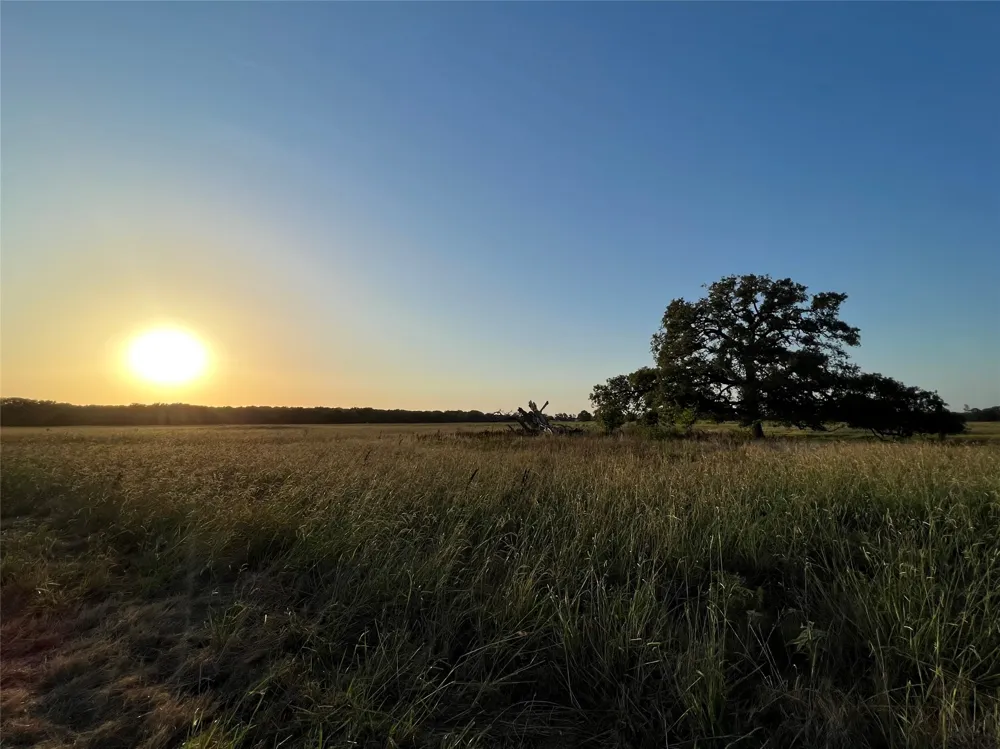 527 County Road 3351 Saltillo, TX 75478