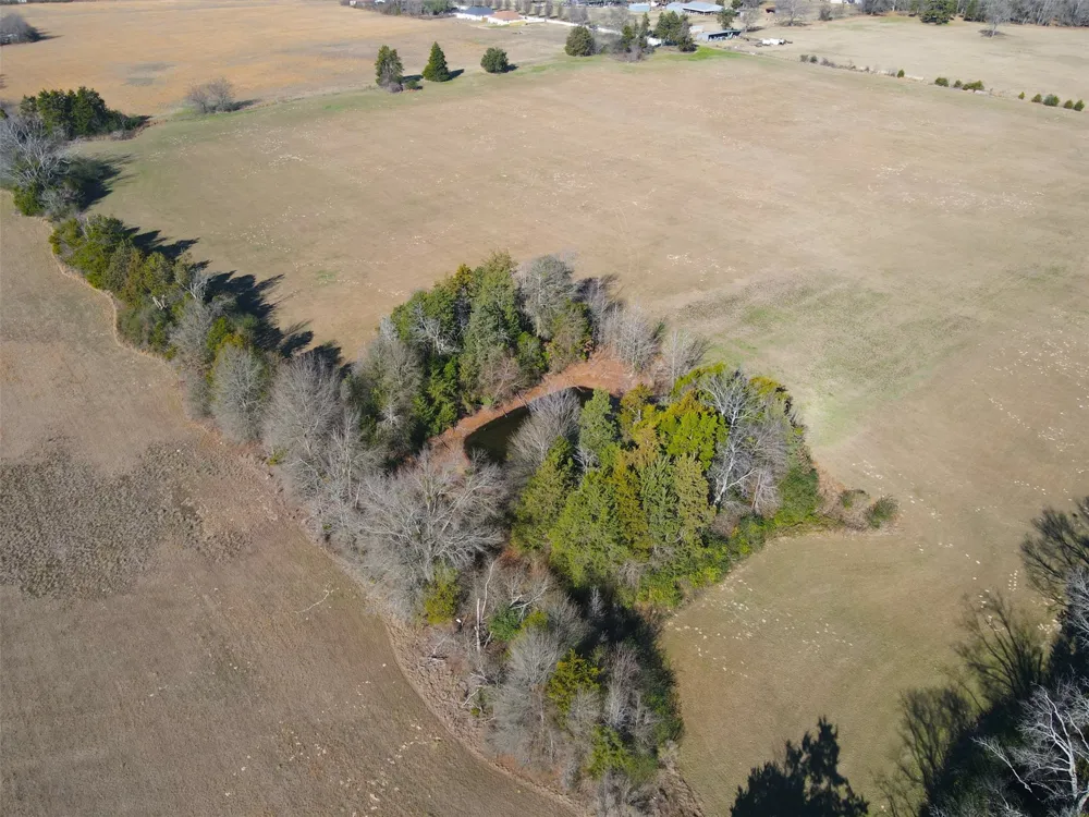 Hwy 37 Quitman, TX 75783