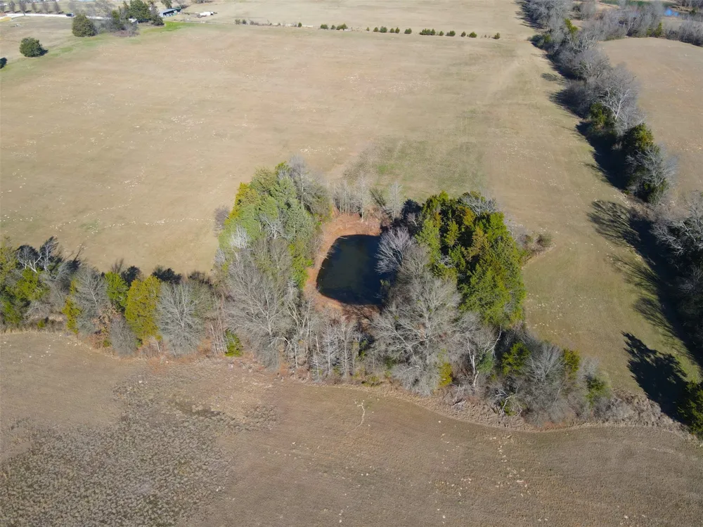 Hwy 37 Quitman, TX 75783