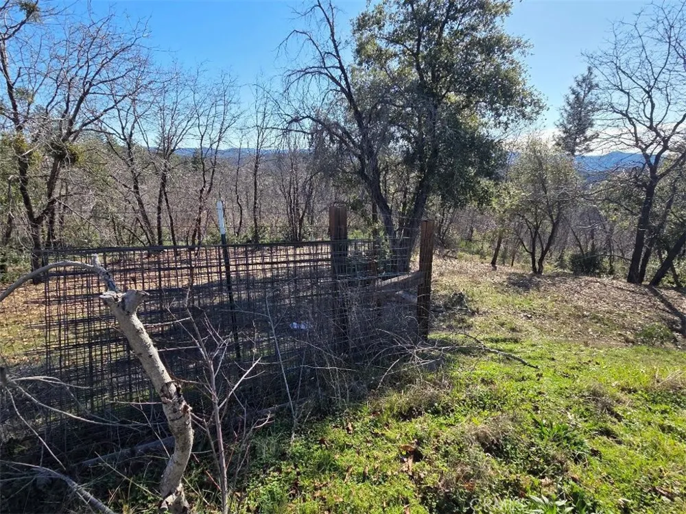 374 Jatko Berry Creek, CA 95916