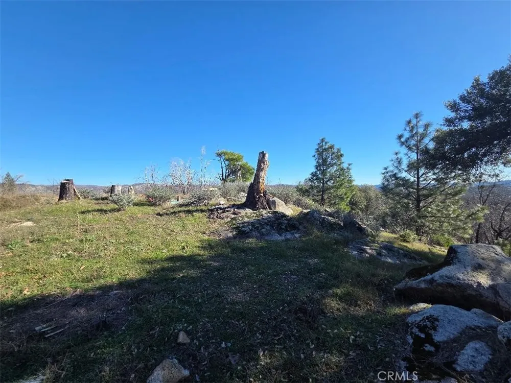 374 Jatko Berry Creek, CA 95916