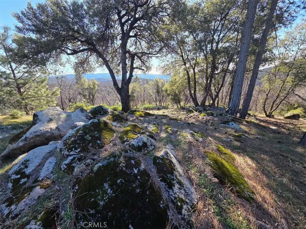 374 Jatko Berry Creek, CA 95916