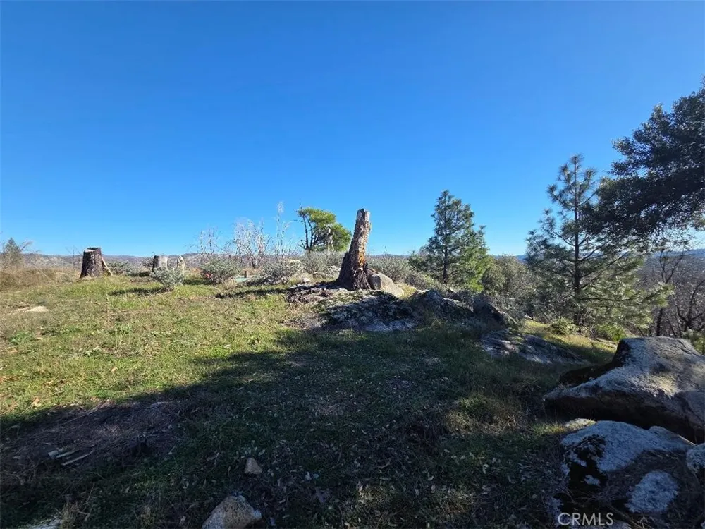 374 Jatko Berry Creek, CA 95916