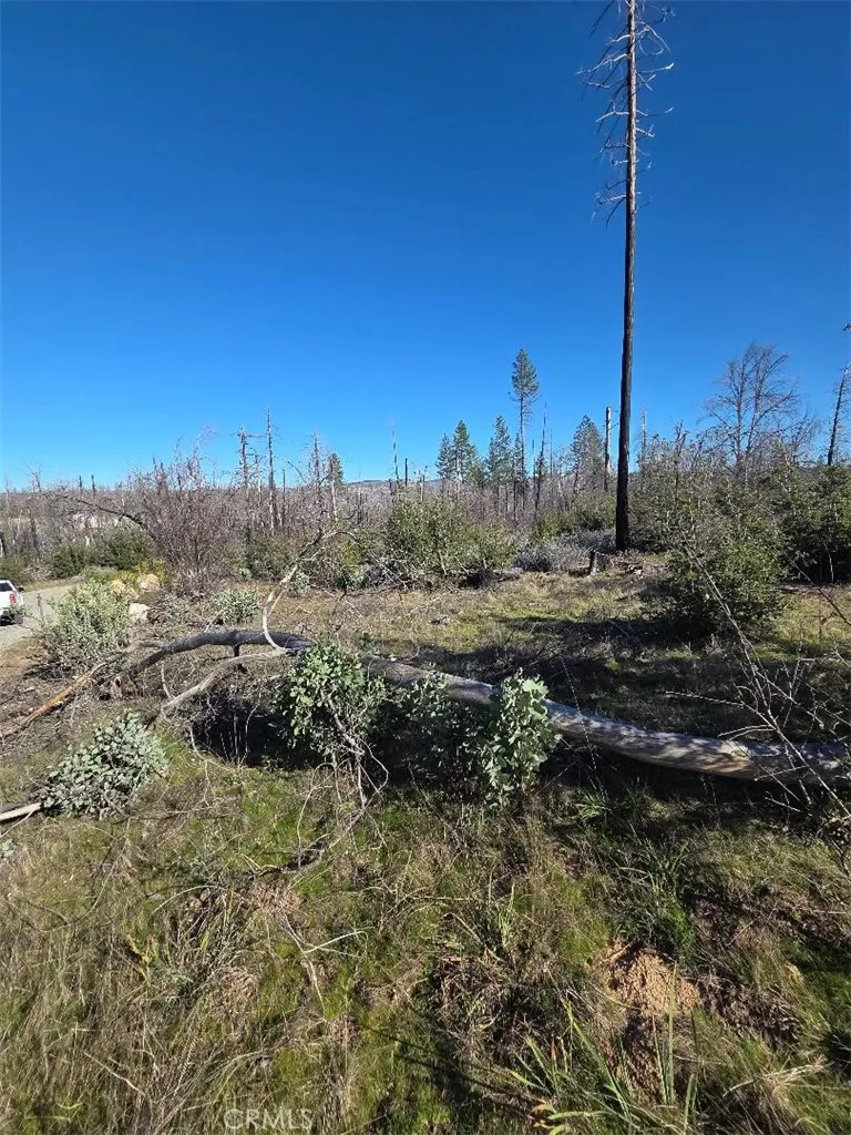 374 Jatko Berry Creek, CA 95916