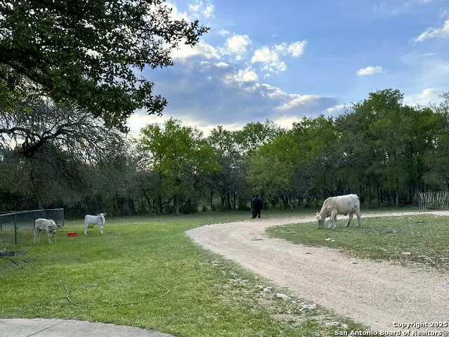 370 Pr 3502 Hondo, TX 78861