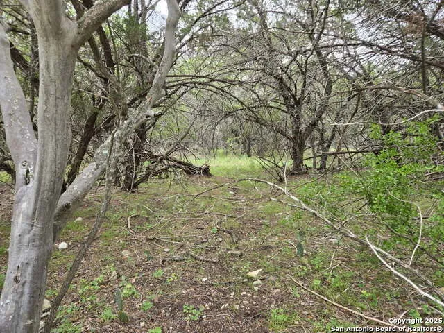 370 Pr 3502 Hondo, TX 78861