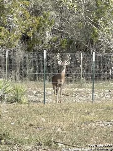 370 Pr 3502 Hondo, TX 78861
