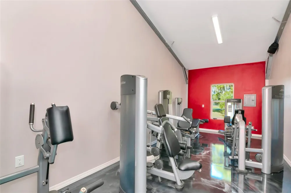 28154 GOPHER HILL ROAD Myakka City, FL 34251