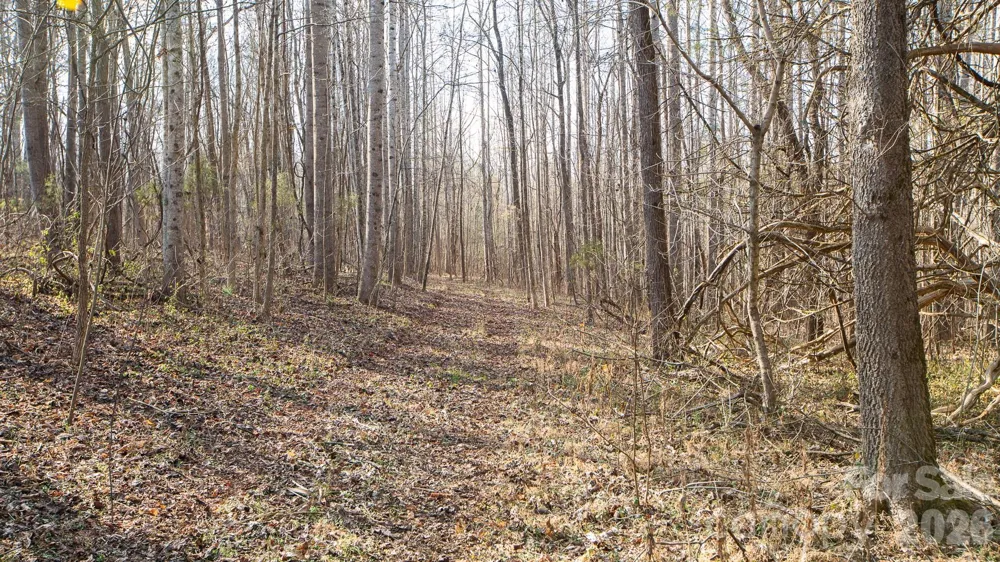 TBD Upright Road Mt Ulla, NC 28125