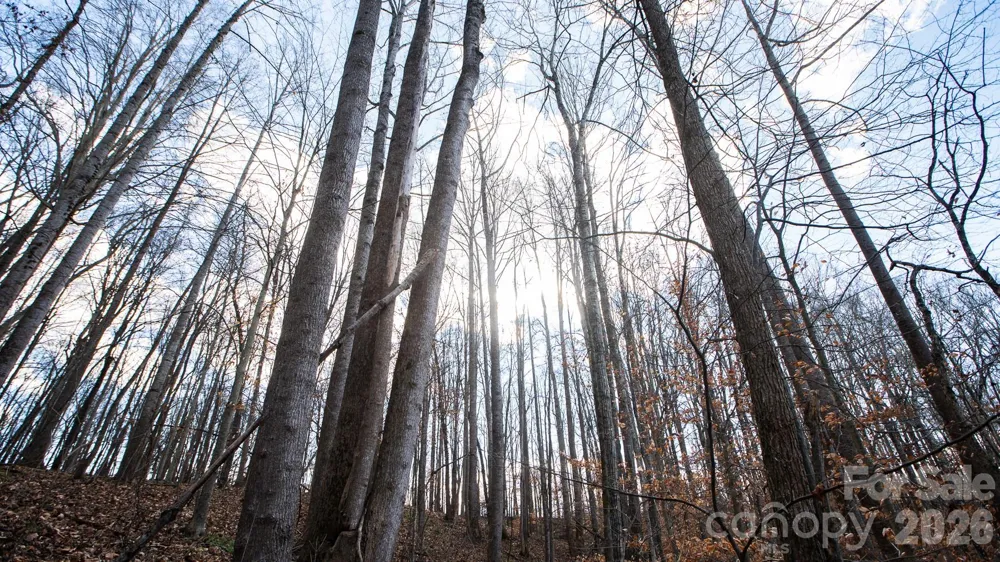 TBD Upright Road Mt Ulla, NC 28125
