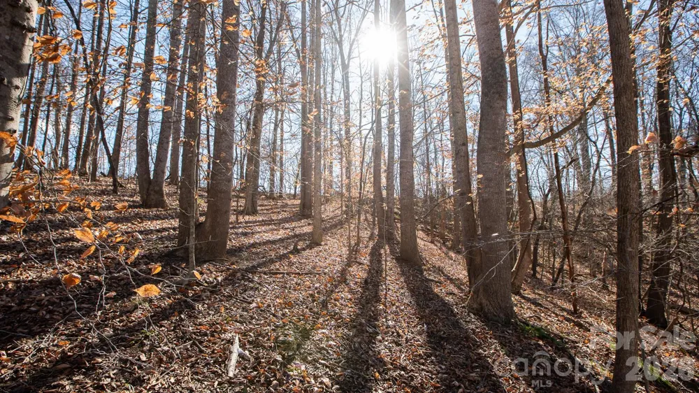 TBD Upright Road Mt Ulla, NC 28125