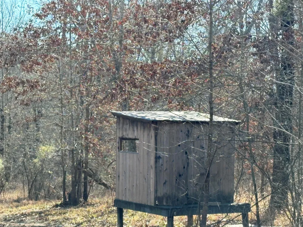 County Road 3543 Saltillo, TX 75457