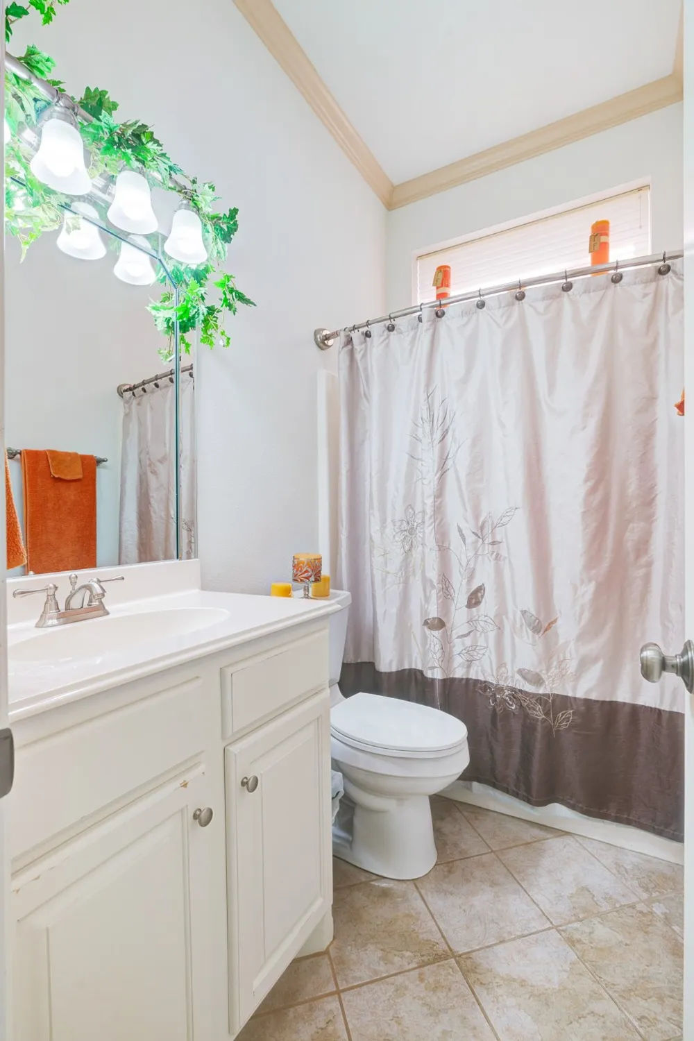 283 Butternut Lane Powderly, TX 75473