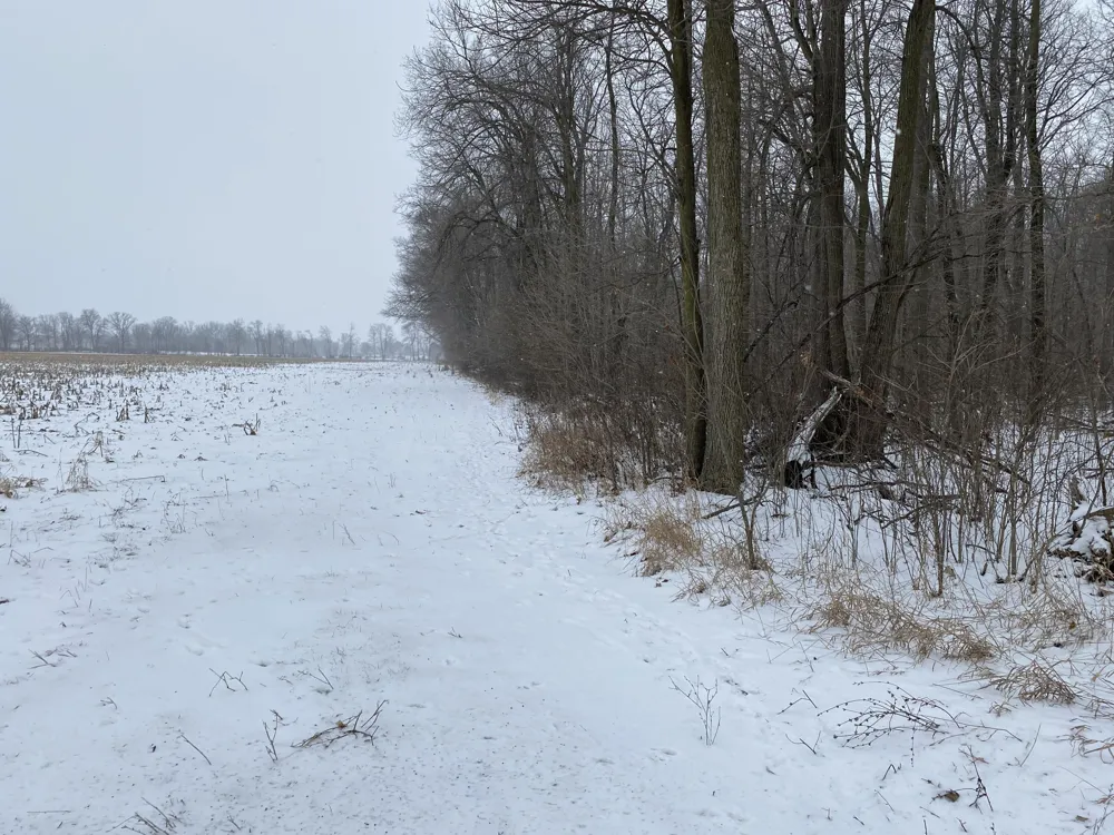 W Copeland Road #2 Bronson, MI 49028