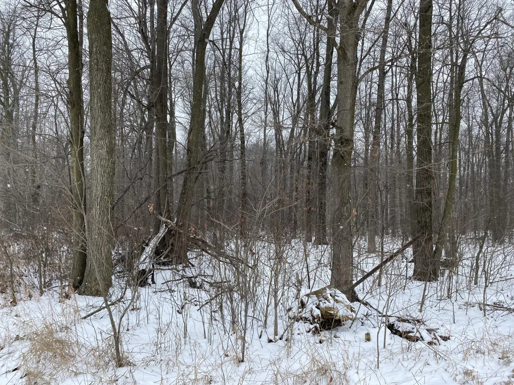W Copeland Road #2 Bronson, MI 49028