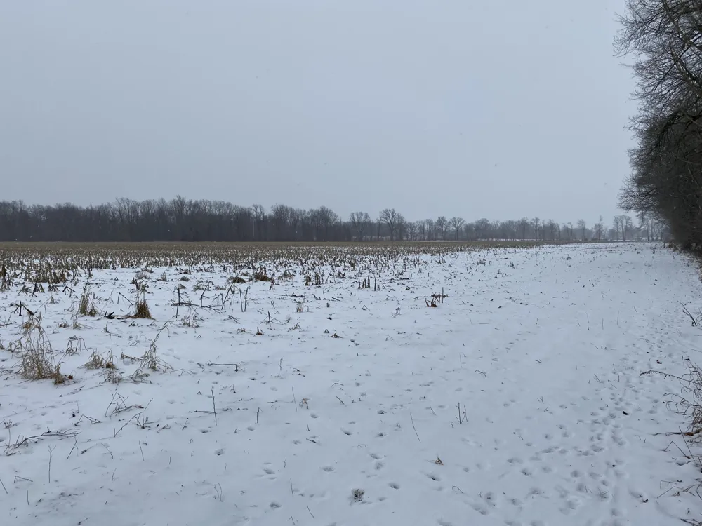 W Copeland Road #2 Bronson, MI 49028