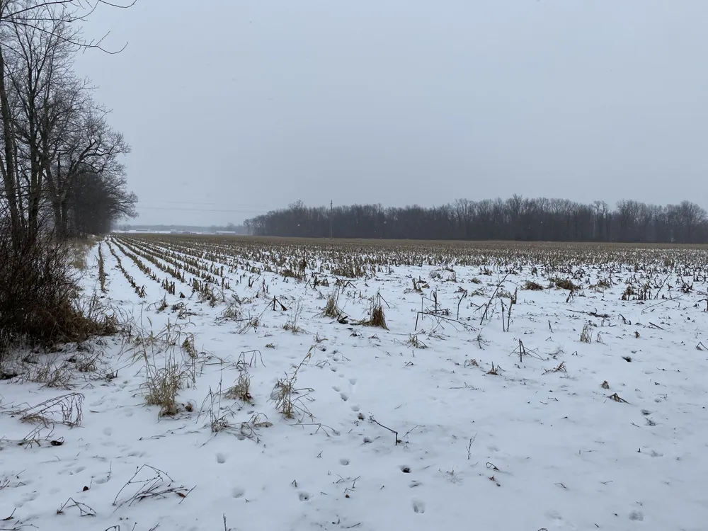 W Copeland Road #2 Bronson, MI 49028