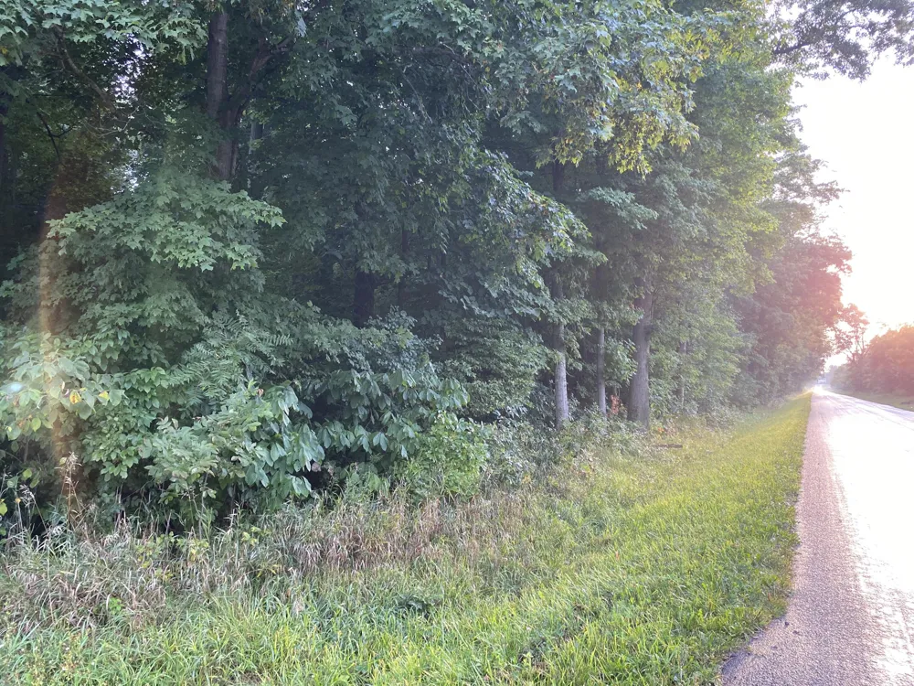 W Copeland Road #2 Bronson, MI 49028