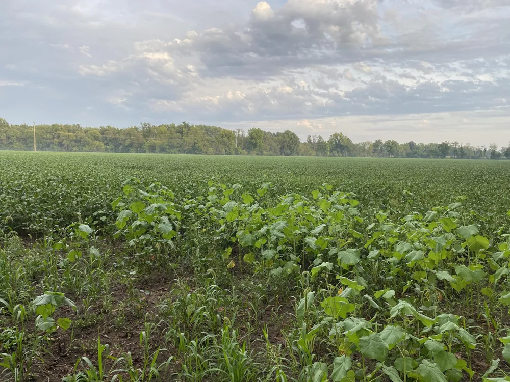 W Copeland Road #2 Bronson, MI 49028