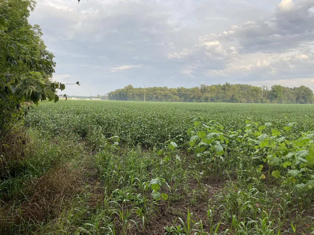 W Copeland Road #2 Bronson, MI 49028