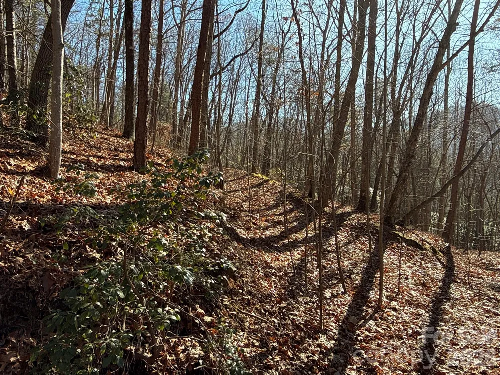 9999 Sealey Lane Leicester, NC 28748