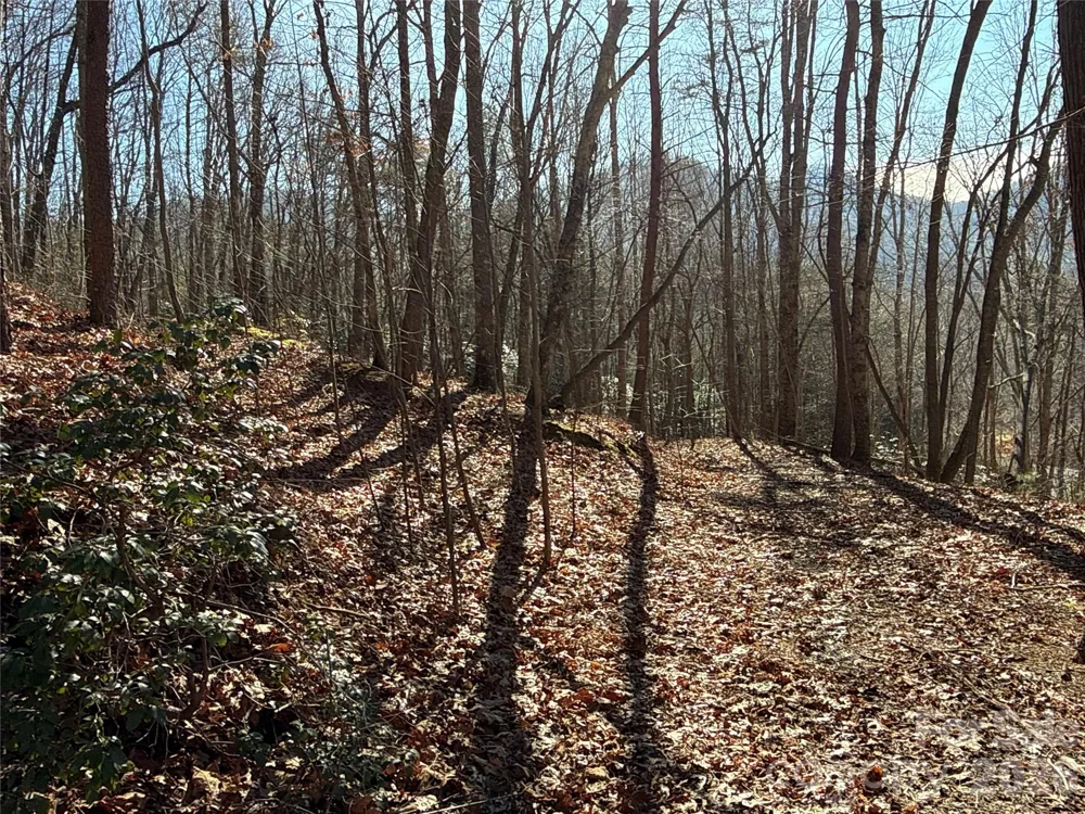 9999 Sealey Lane Leicester, NC 28748