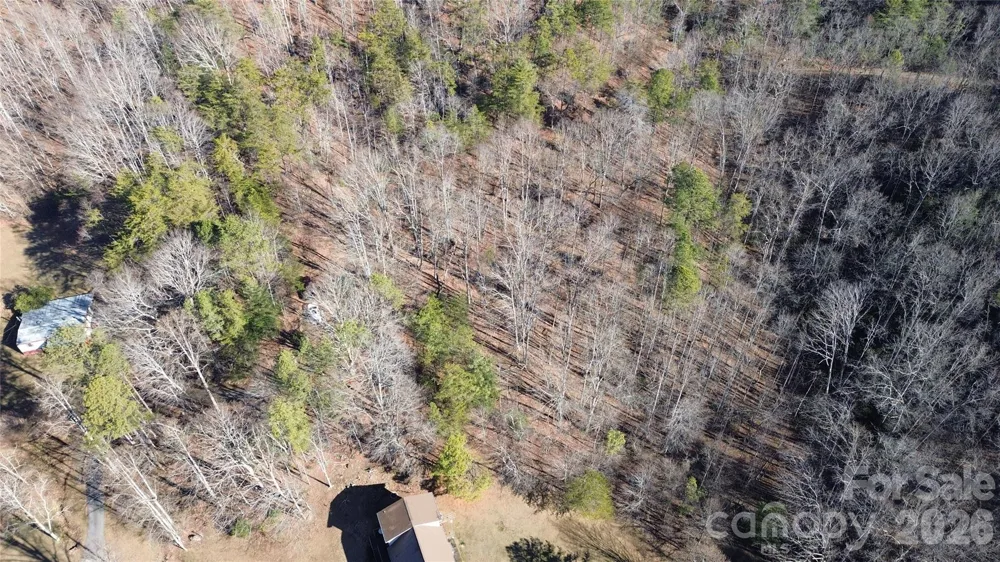 9999 Sealey Lane Leicester, NC 28748
