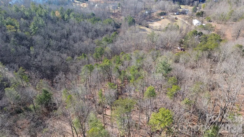 9999 Sealey Lane Leicester, NC 28748
