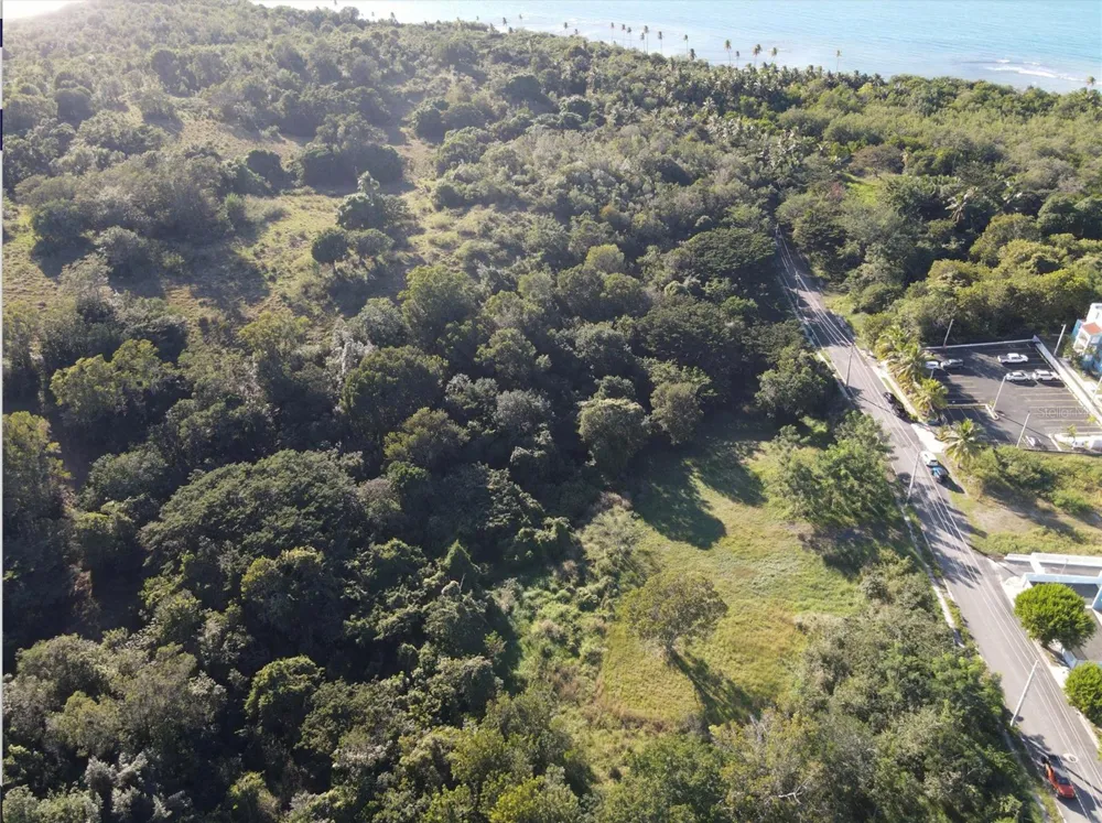 CARR. 307, KM. 3.5 LA MELA, BO. PEDERNALES Cabo Rojo, PR 00623