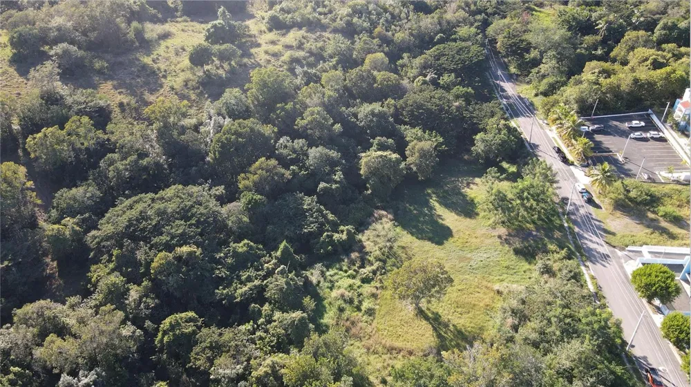 CARR. 307, KM. 3.5 LA MELA, BO. PEDERNALES Cabo Rojo, PR 00623