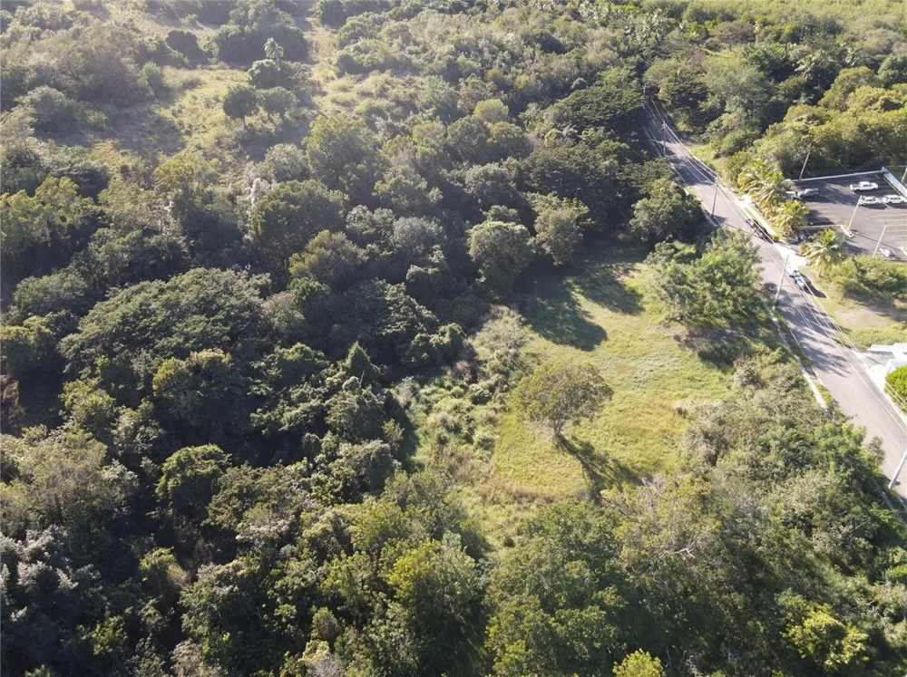 CARR. 307, KM. 3.5 LA MELA, BO. PEDERNALES Cabo Rojo, PR 00623
