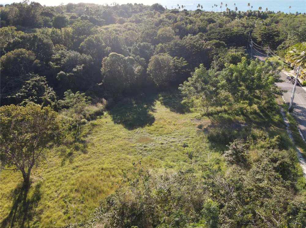 CARR. 307, KM. 3.5 LA MELA, BO. PEDERNALES Cabo Rojo, PR 00623