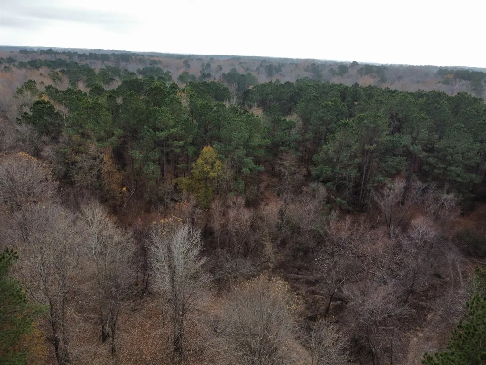 7525 E State Highway 154 Highway E Gilmer, TX 75645
