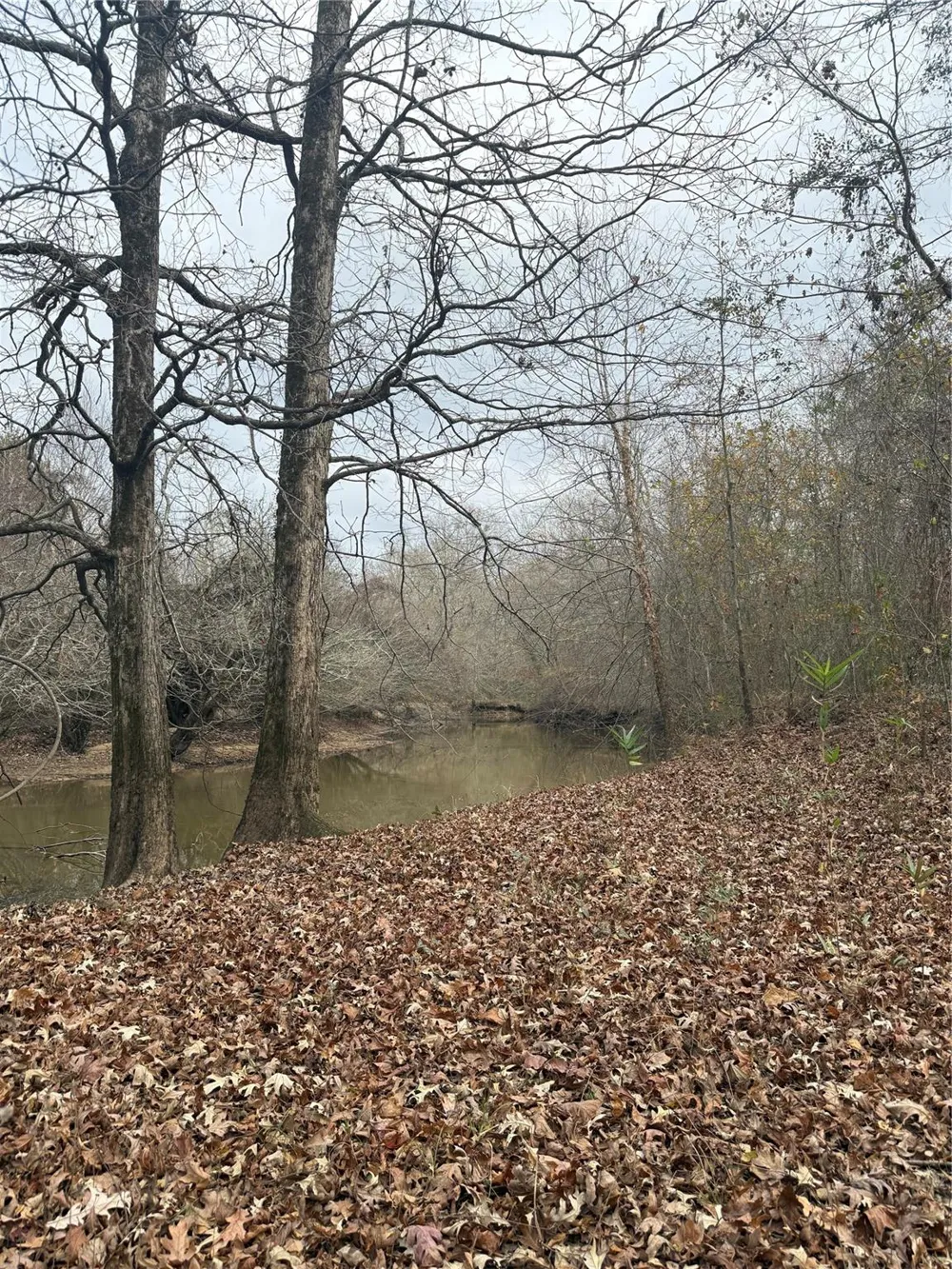 7525 E State Highway 154 Highway E Gilmer, TX 75645