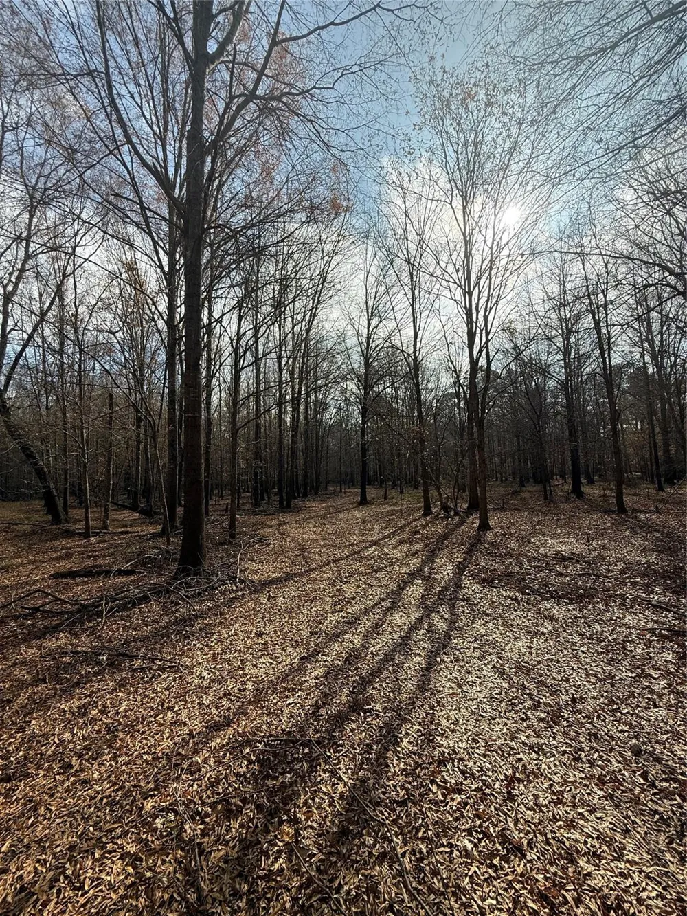 7525 E State Highway 154 Highway E Gilmer, TX 75645