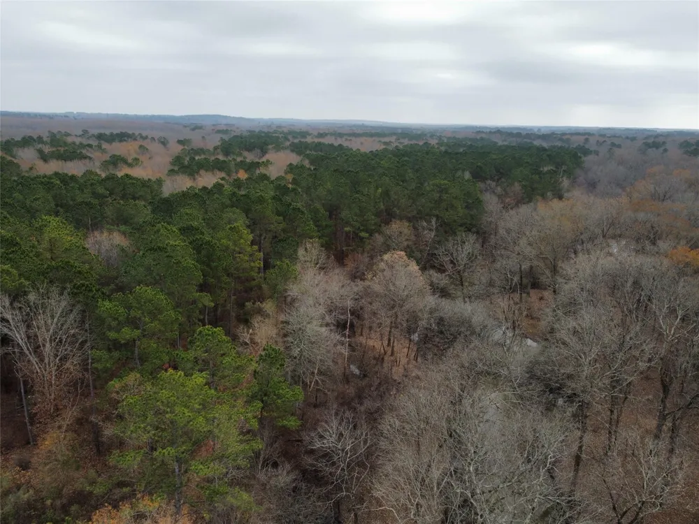 7525 E State Highway 154 Highway E Gilmer, TX 75645