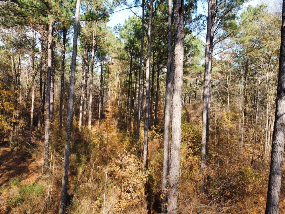 7525 E State Highway 154 Highway E Gilmer, TX 75645