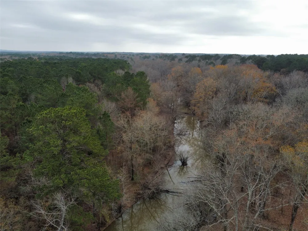 7525 E State Highway 154 Highway E Gilmer, TX 75645