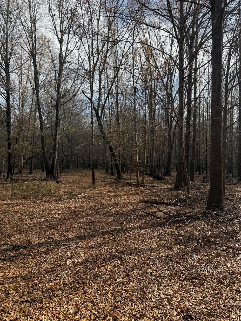 7525 E State Highway 154 Highway E Gilmer, TX 75645
