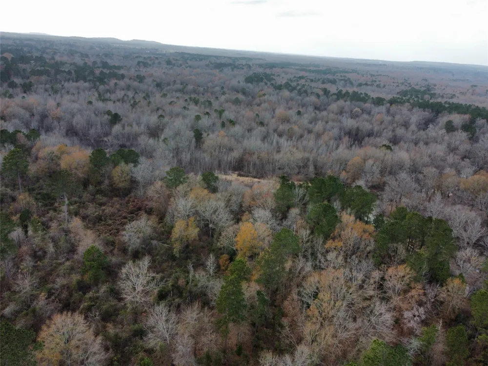 7525 E State Highway 154 Highway E Gilmer, TX 75645