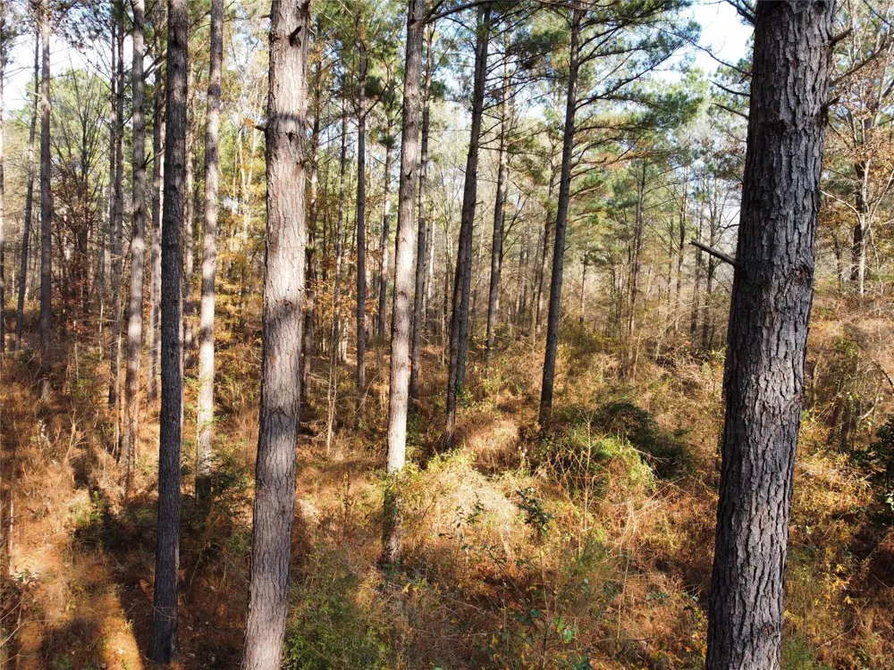 7525 E State Highway 154 Highway E Gilmer, TX 75645