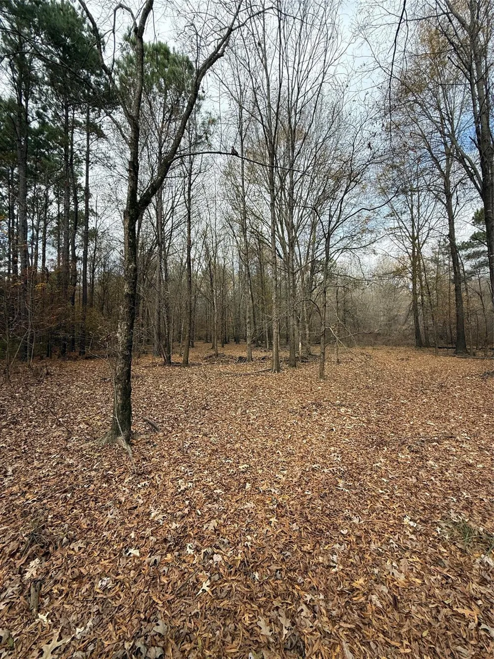 7525 E State Highway 154 Highway E Gilmer, TX 75645