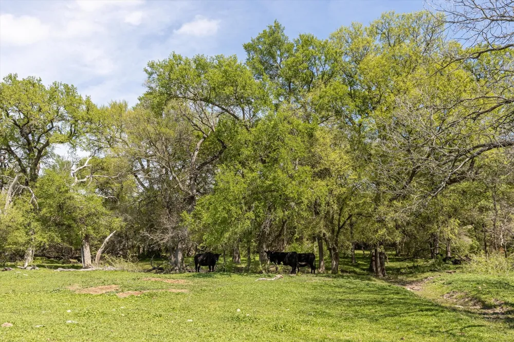 9885 County Road 270 Hico, TX 76457